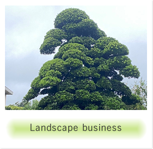 Landscape business